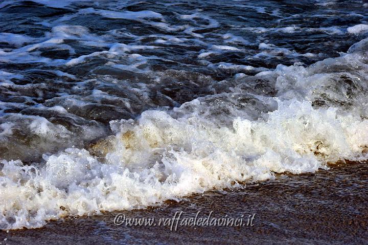 11.5.2011 Saline di Priolo con Antonella (411).jpg